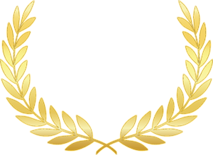 Maptek Award 2015